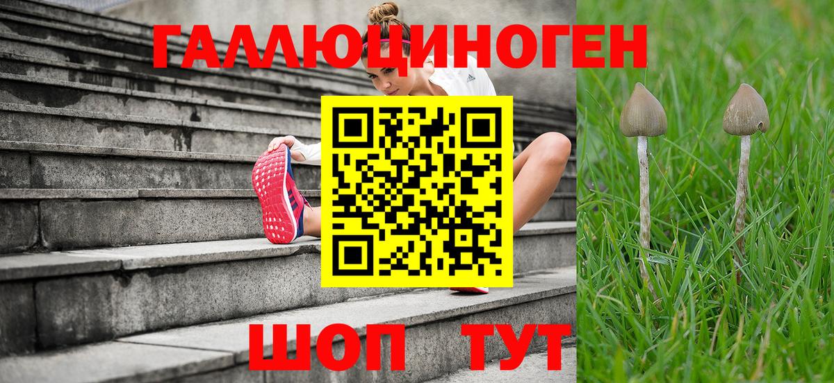 Галлюциногенные грибы мицелий  Вход с VPN  Псилоцибиновые грибы Magic Shrooms  Коломна 
